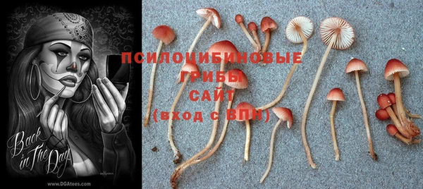 гашишное масло Алексин