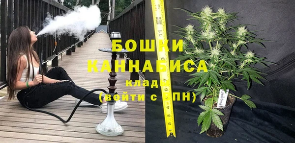 прущие грибы Нязепетровск